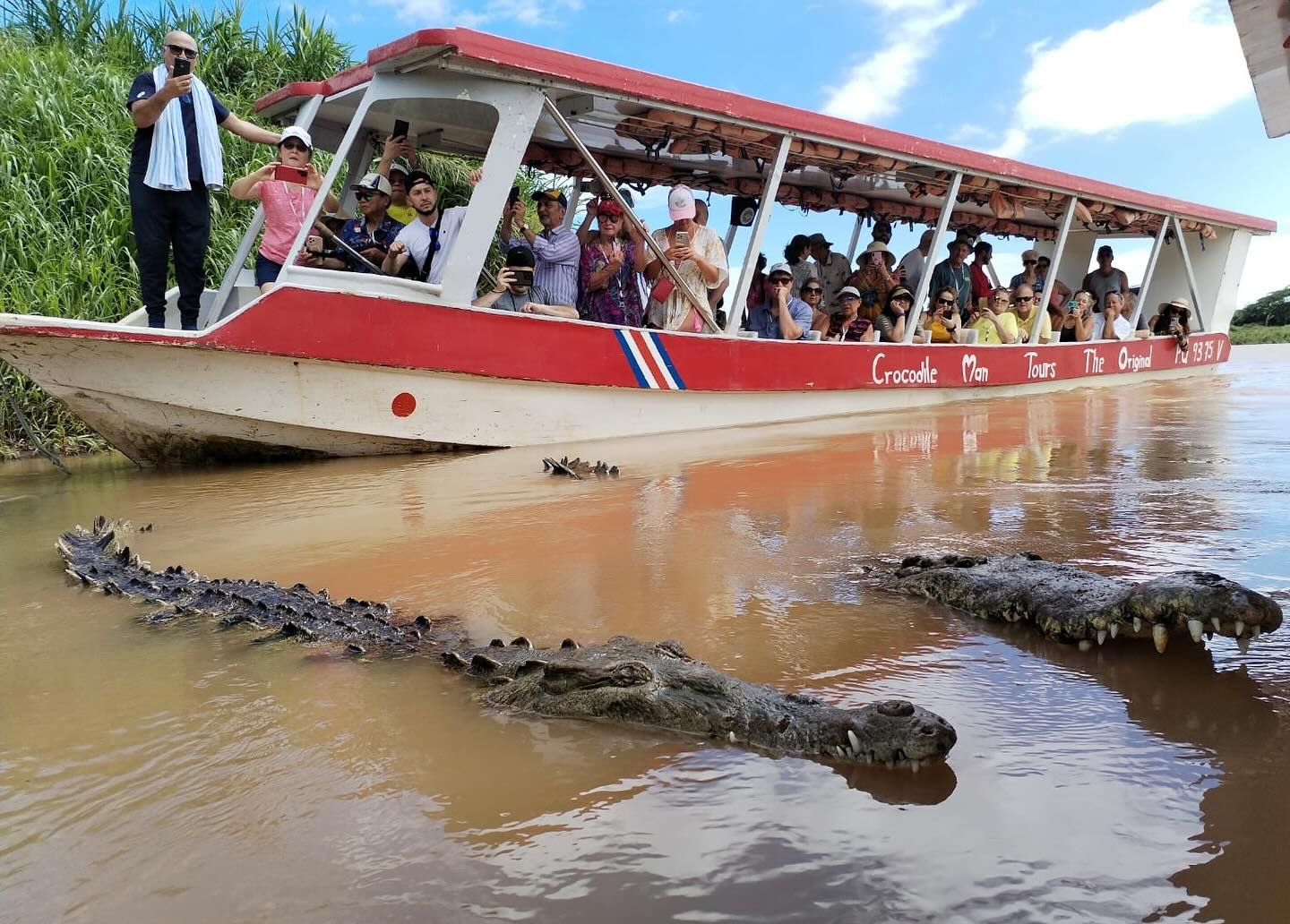 Costa Rica crocodile and mangrove wildlife tour