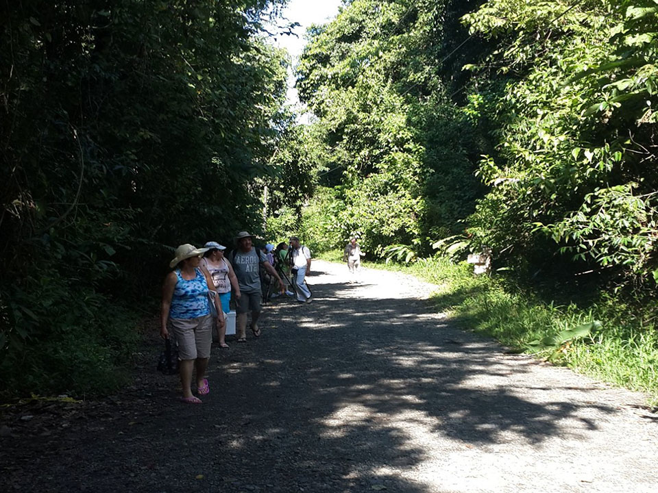Guided walking trail in Manuel Antonio National Park